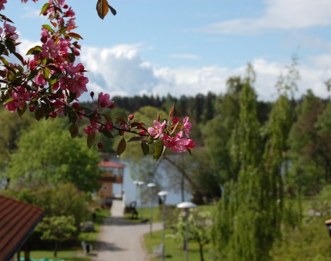 Vår på Ksten