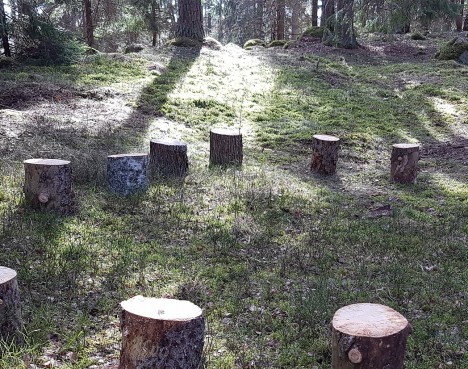 Mötesplats i skogsgläntan